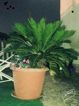 Camelot B&B Palermo otel fotoğrafı