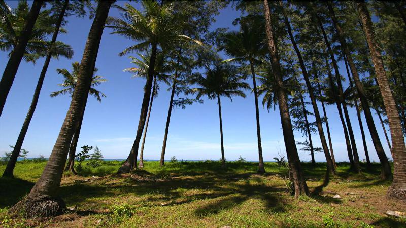 Khao Lak Blue Lagoon Resort - Genel