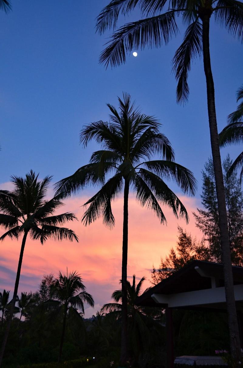 Khao Lak Blue Lagoon Resort - Genel