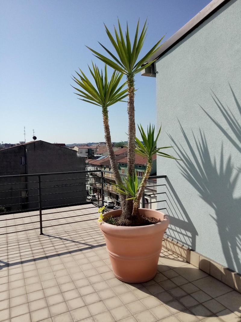 Hotel Chiaraluna - Teras