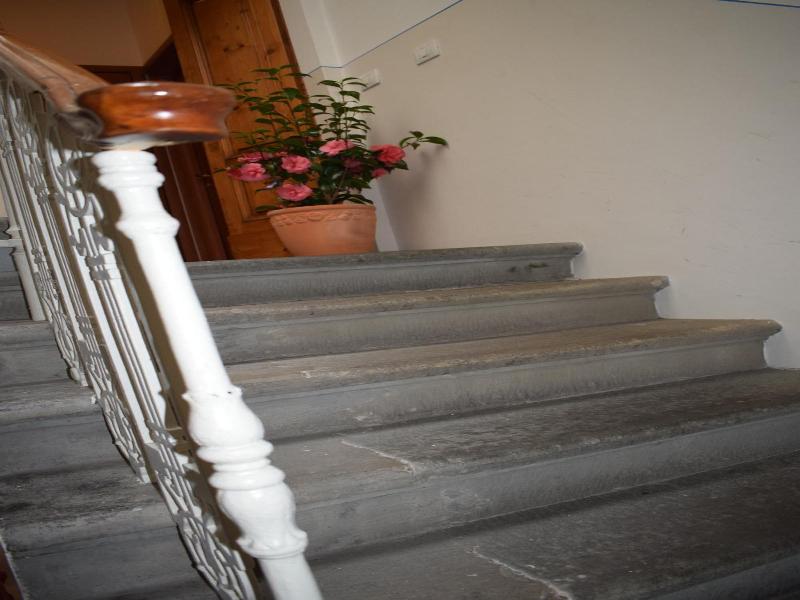 Hotel Dalmazia - Genel