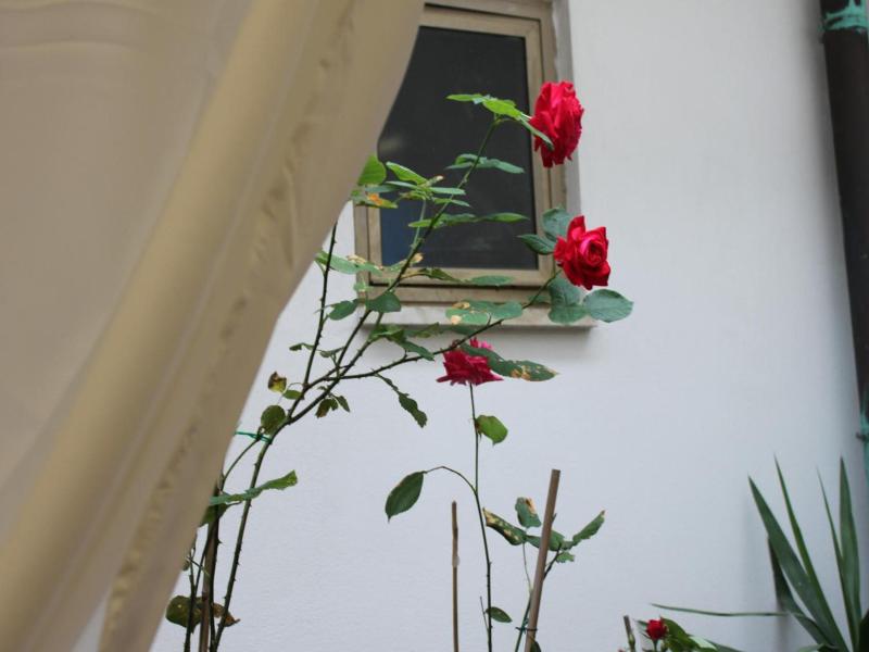 Hotel Dalmazia - Genel
