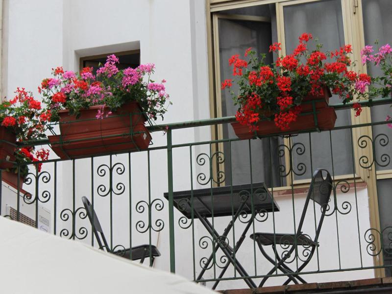 Hotel Dalmazia - Genel