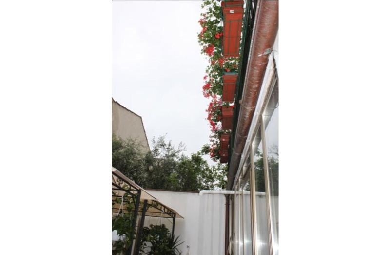 Hotel Dalmazia - Teras