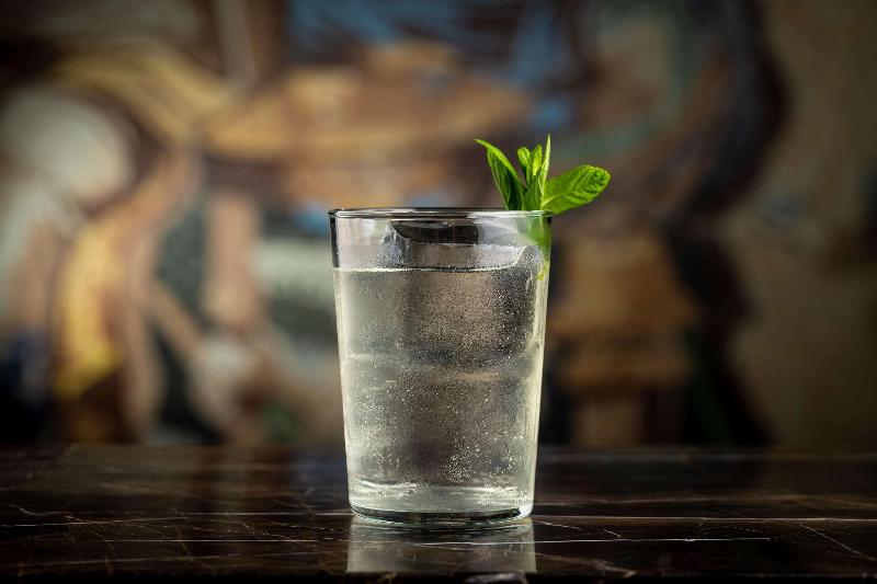Papillon Ayscha - Bar