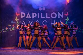 Papillon Ayscha fotoÄŸrafÄ±