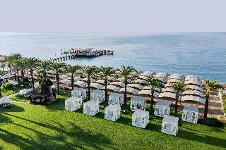 Papillon Ayscha fotoÄŸrafÄ±