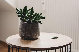 Hygge Lisbon Suites - Estrela fotoÄŸrafÄ±