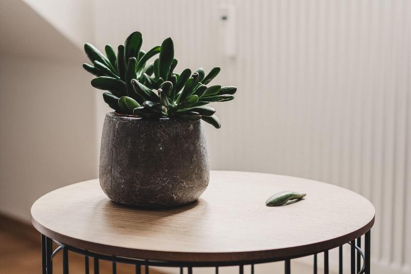 Hygge Lisbon Suites - Estrela - Lobi