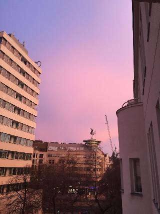 Kurfürst fotoÄŸrafÄ±