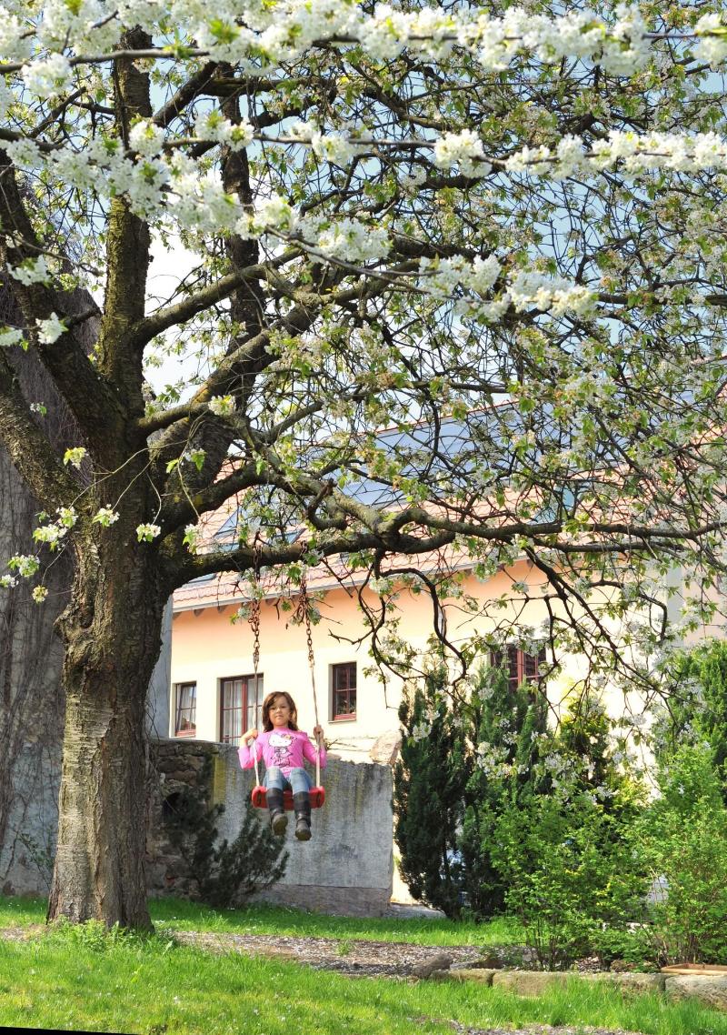 Pension Marlis - Aktivite