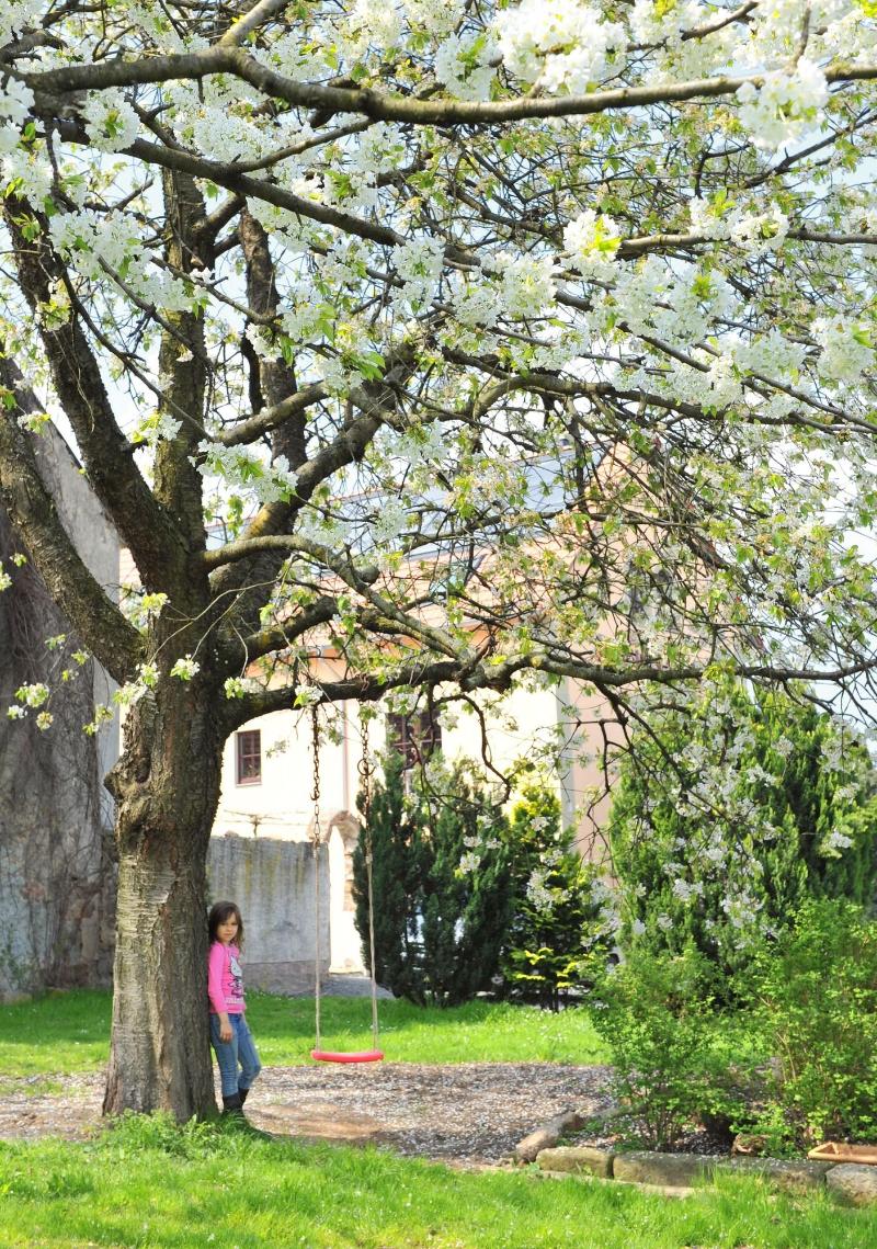 Pension Marlis - Genel