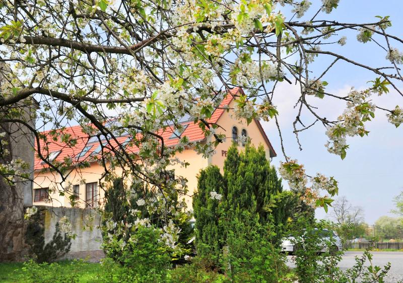Pension Marlis - Genel