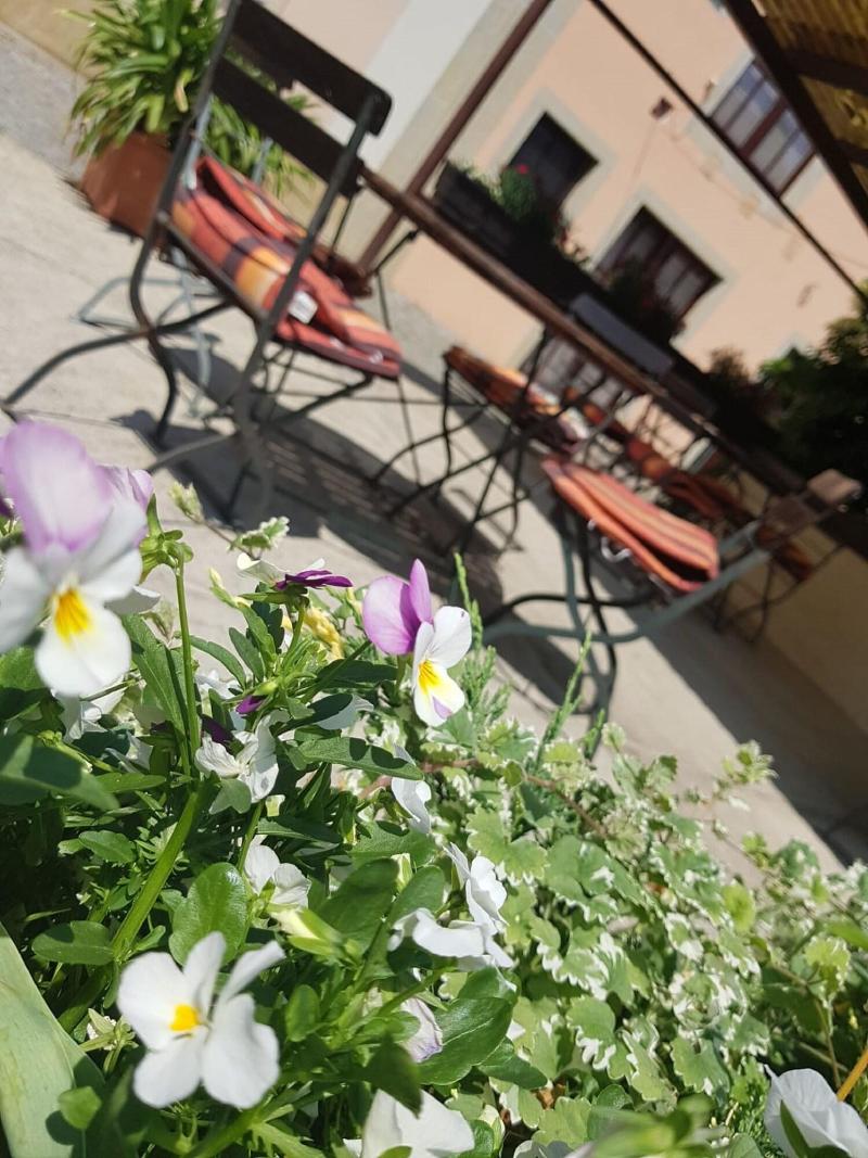 Pension Marlis - Oda