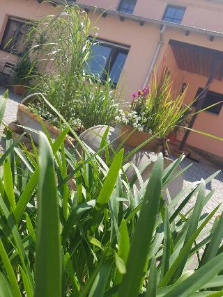 Pension Marlis fotoÄŸrafÄ±