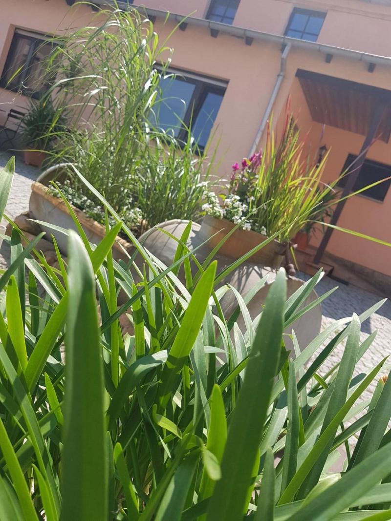 Pension Marlis - Oda