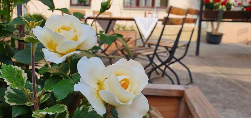 Pension Marlis - Oda