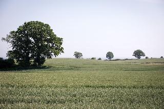 Aja Groemitz fotoÄŸrafÄ±
