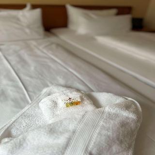 Sure Hotel by Best Western Wilhelmshaven City fotoÄŸrafÄ±