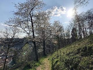 Burgschänke fotoÄŸrafÄ±