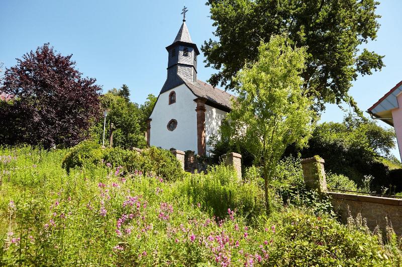 Burgschänke - Genel