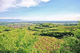 Winzerstube Ihringen fotoÄŸrafÄ±