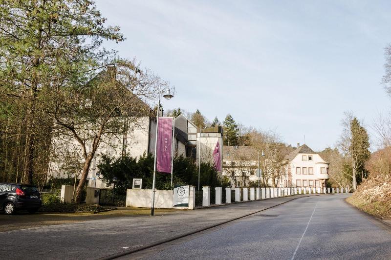 Hotel Luisenpark - Genel