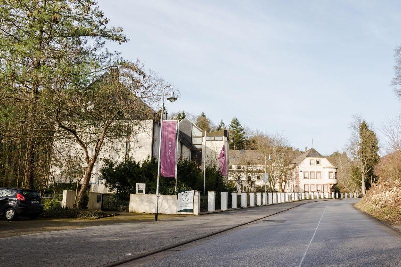 Hotel Luisenpark - Genel
