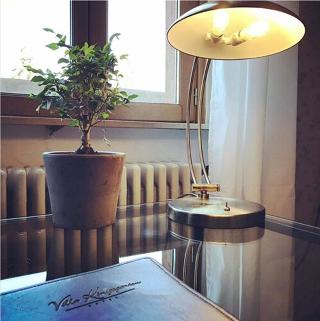 Villa Königsgarten fotoÄŸrafÄ±