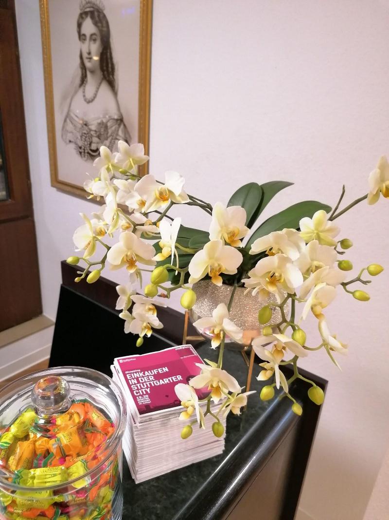 Hotel Olgaeck - Lobi