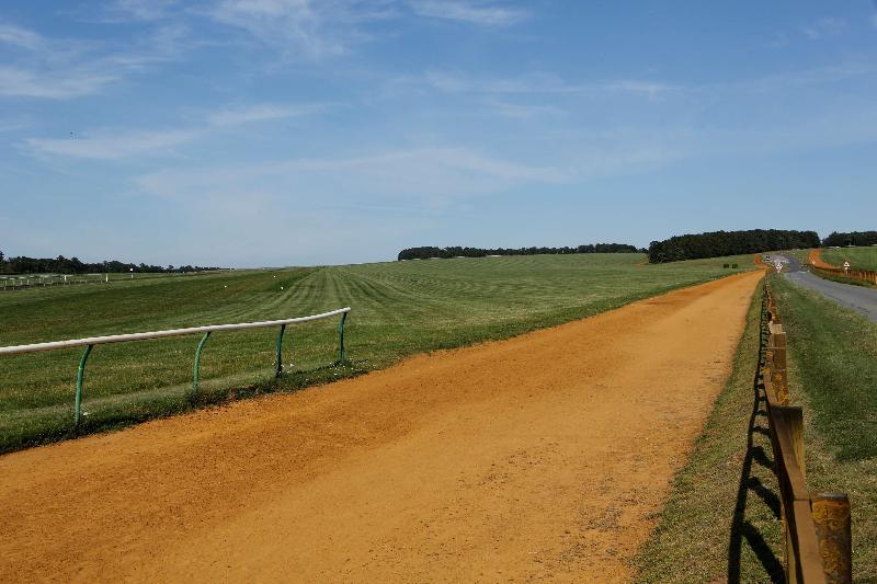 Best Western Heath Court - Aktivite