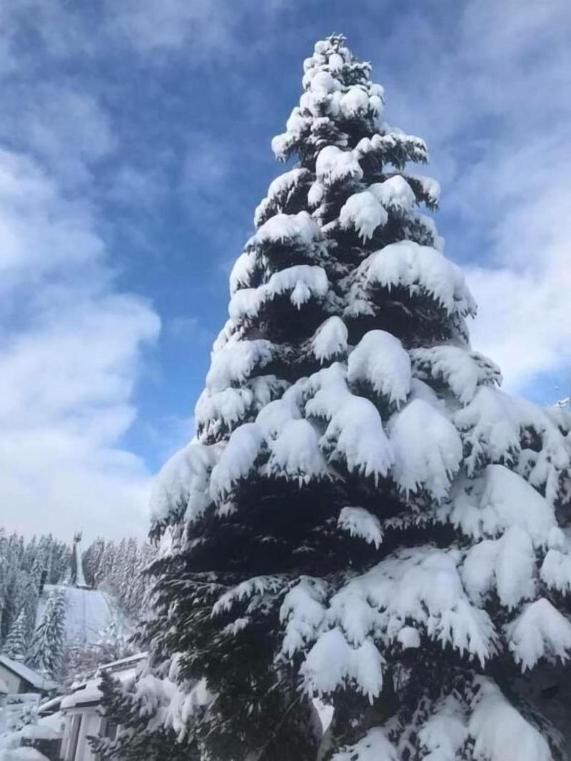 Hotel Adlerschanze - Genel