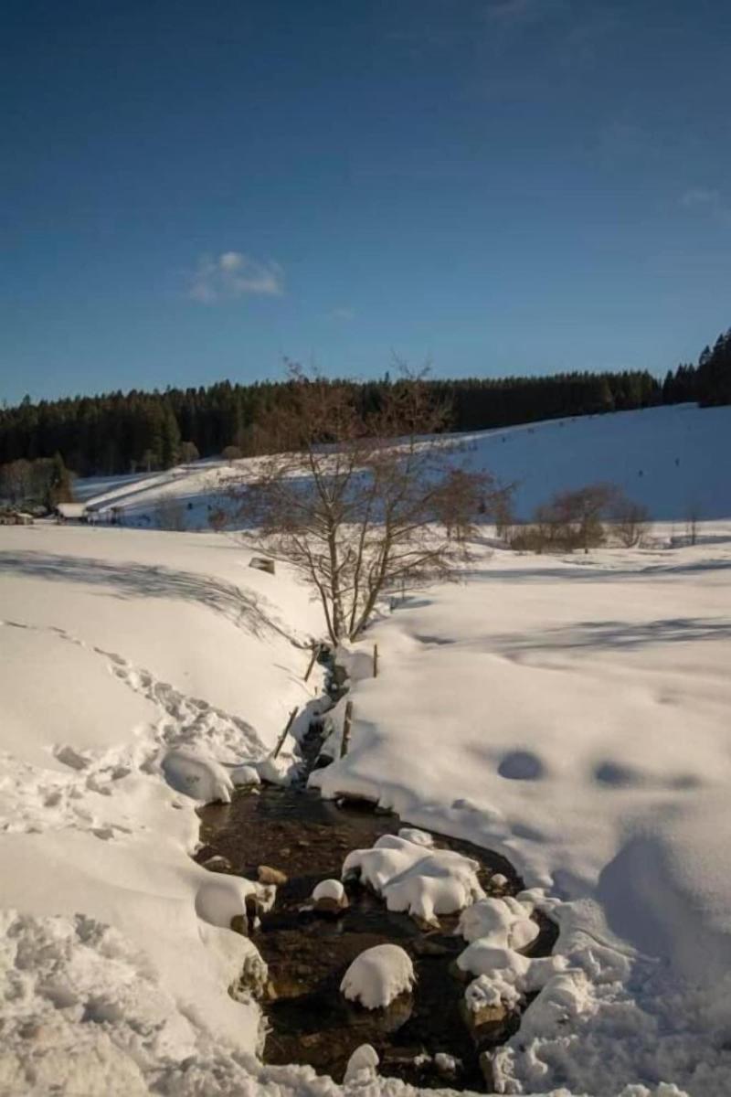 Hotel Adlerschanze - Plaj