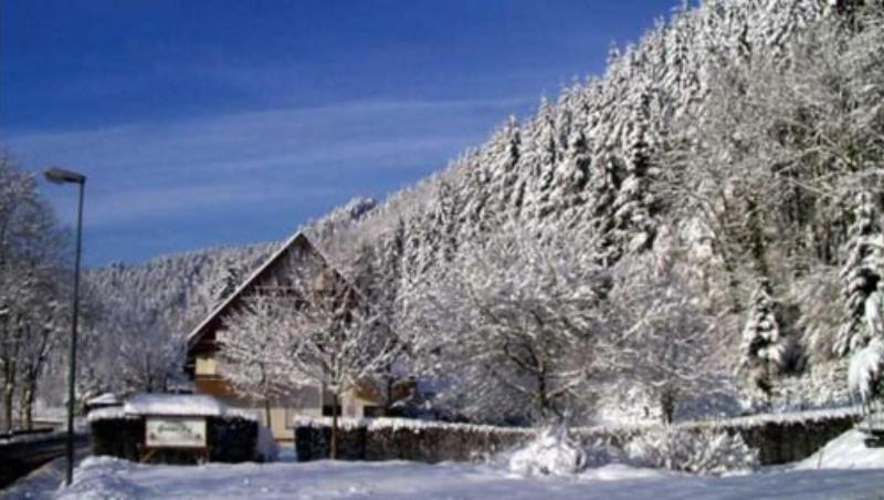 Grüner Hof - Genel