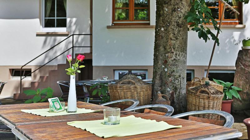 Grüner Hof - Teras