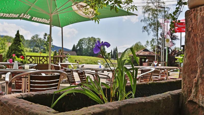 Grüner Hof - Teras