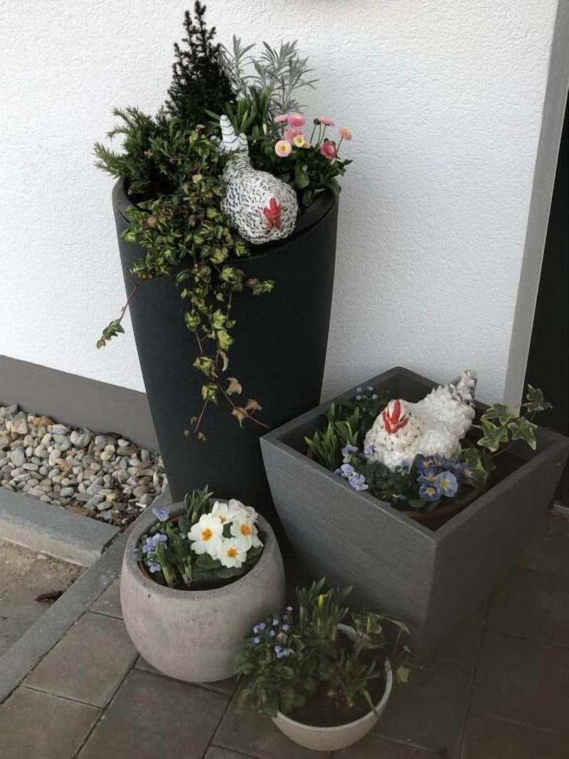 Hotel Am Moosrain - Lobi
