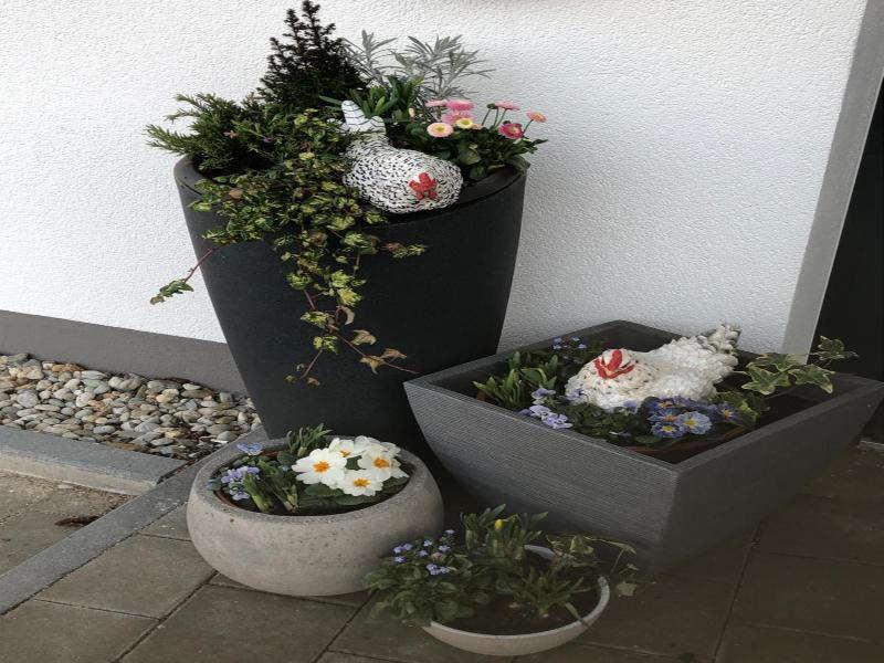 Hotel Am Moosrain - Genel