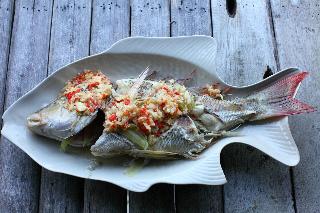 Pp Red Tuna Hut fotoÄŸrafÄ±