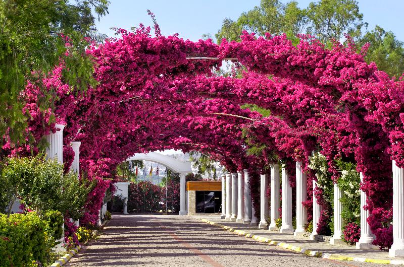 Kadikale Resort Spa - Lobi