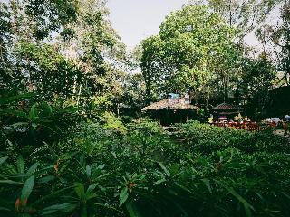 Tamnanpar Resort fotoÄŸrafÄ±