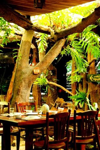 Tamnanpar Resort fotoÄŸrafÄ±