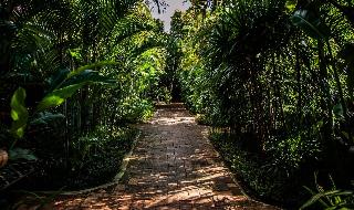 Baanpong Lodge fotoÄŸrafÄ±