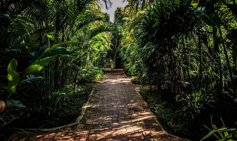 Baanpong Lodge - Genel