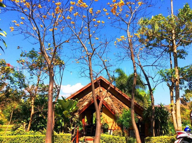 Puravida Pai Resort - Lobi