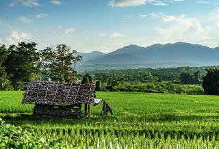 Puravida Pai Resort fotoÄŸrafÄ±