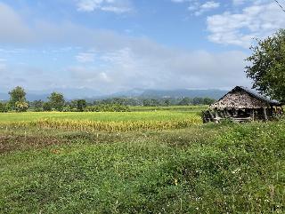 Puravida Pai Resort fotoÄŸrafÄ±