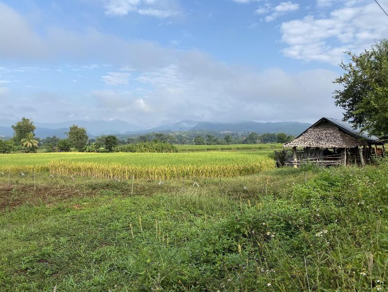 Puravida Pai Resort - Aktivite