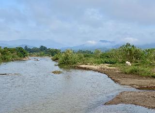Puravida Pai Resort fotoÄŸrafÄ±