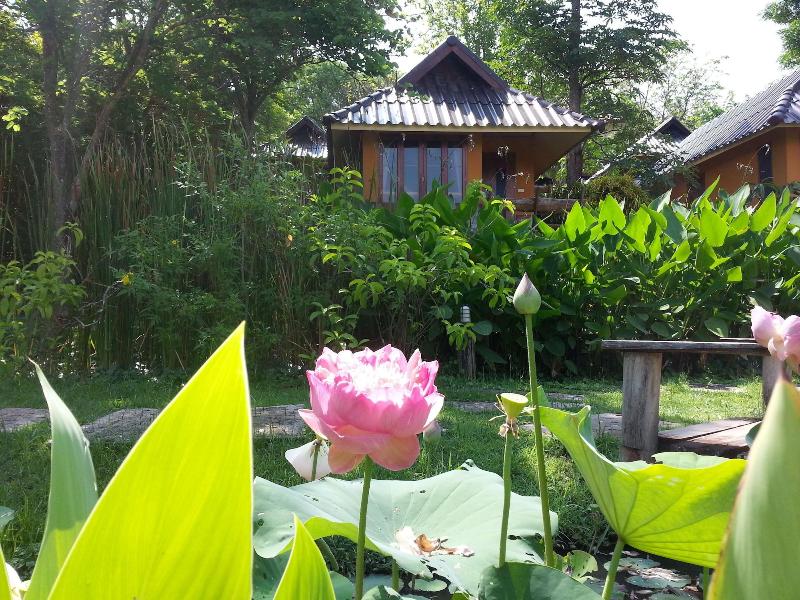 Puravida Pai Resort - Genel